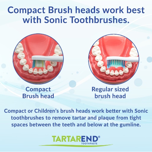 Remove Tartar with TartarEnd® Toothpaste | TartarEnd® Toothpaste